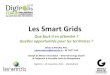 141120 cateura digipolis smart grids France