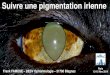 Pigmentation irienne afvac 2014_ff
