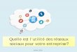 Enquête "Utilité des réseaux sociaux pour les entreprises françaises"