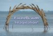 L'imagination des fermiers