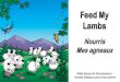 Nourris mes agneaux - Versets bibliques pour préscolaires