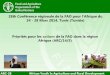 28th FAO ARC - Priorités pour les actions de la FAO dans la région Afrique