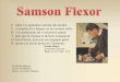 Samson flexor