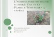 Agriculture en milieu soninké: Témérunka (yaféra)