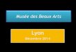 Musée des Beaux Arts Lyon