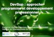 DevSup : approche-programme et développement professionnel