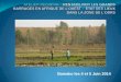 Etats des lieux du conseil agricole: l’expérience du barrage de Sélingué (Mali)