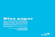 Blue Paper SoZen: Les nouvelles solutions publicitaires de Facebook