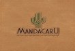 Brandbook Mandacaru