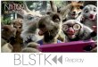BLSTK Replay n°109 - La revue luxe et digitale du 24.01 au 30.01.15
