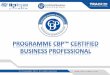 Certified business professional program french