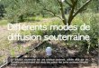 Gestion autonome de l'eau en arboriculture