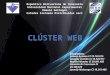 Cluster grupo #10