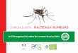Chikungunya :halte ux rumeurs
