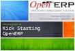 Kick starting OpenERP