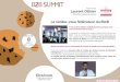 BtoB Summit 2015 interview Laurent Ollivier Aressy, cookies & B2B