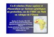 Protection conférée par l'hémoglobine C contre les formes neurologiques du paludisme en Afrique