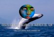 Observacion de Ballenas en America del Sur