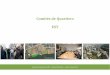 Présentation comité de quartiers Est - Ville d'Echirolles - 11 juin 2015