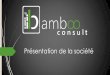 Bamboo Consult sarl - Présentation de l'entreprise
