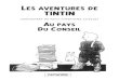 Tintin au Pays du