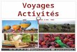 Voyage Activites en Inde