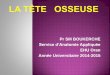 05 La Tête Osseuse 2014 15