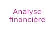 119271731 Analyse Financiere