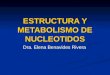 (02-Oct-14) 6a. Est. y Metabolismo de Nucleotidos