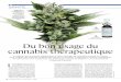 Cannabis théraprutique -  S&A  - mars 2014 -