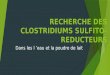 Recherche Des Clostridiums Sulfito-reducteurs