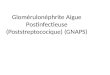 Cours 2 - Glomérulonéphrite Aigue Postinfectieuse (Poststreptococique) (