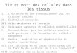 Cours Medecine Info Histologie 1 Voies Aeriennes Generalites
