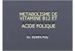 Metabolisme de Vitamine b12 Et Acide Folique