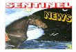 Sentinel UFO News - 003