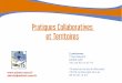 Pratiques collaboratives et territoires - séminaire du 31 mai 2013