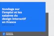 Sondage sur lâ€™emploi et les salaires du design interactif en France - Edition 2014