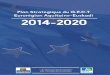 Plan Stratégique du G.E.C.T. Eurorégion Aquitaine Euskadi. 2014-2020