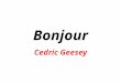 Bonjour Cedric Geesey. 14 