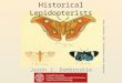 Historical Lepidopterists Jason J. Dombroskie Drury & Westwood. 1887. Illustrations of exotic entomology