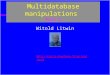 1 Multidatabase manipulations Part 2 Witold Litwin 