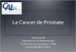 Le Cancer de Prostate