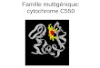 Famille multigénique: cytochrome C550