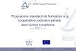 Programme standard de formation à la coopération judiciaire pénale  dans l’Union européenne