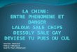 LA CHINE:  ENTRE PHENOMENE ET DANGER LALOUA SALE CHIPS DESSOLY SALE GAY DEVIESE TU PUES DU CUL
