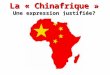 La « Chinafrique » Une expression justifiée?