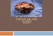 CANCERs  DE L’OVAIRE clin  gyn .  ob . CHUC Pr A.BARKAT 2012/2013