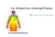 La  dépense énergétique                    ( N.  Loos , MCU  Physiologie