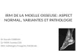 IRM DE LA MOELLE OSSEUSE: ASPECT NORMAL, VARIANTES ET PATHOLOGIE