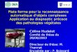 Céline Hudelot Comité de thèse du 26/06/2003 Directeur de thèse: M. Thonnat